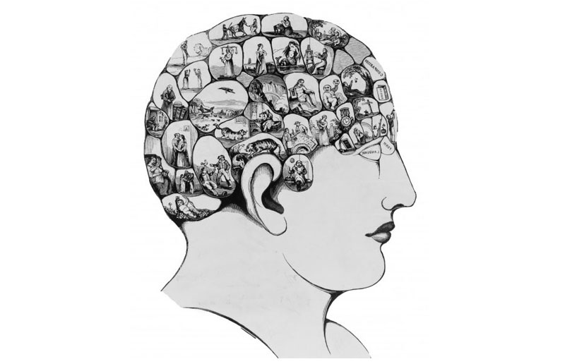 Art Enhances Brain Function and Well-Being