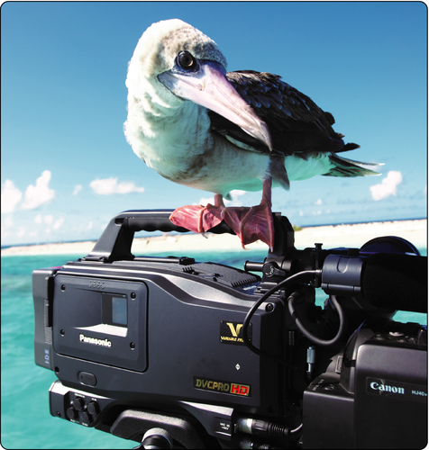 Science and nature filmmaking