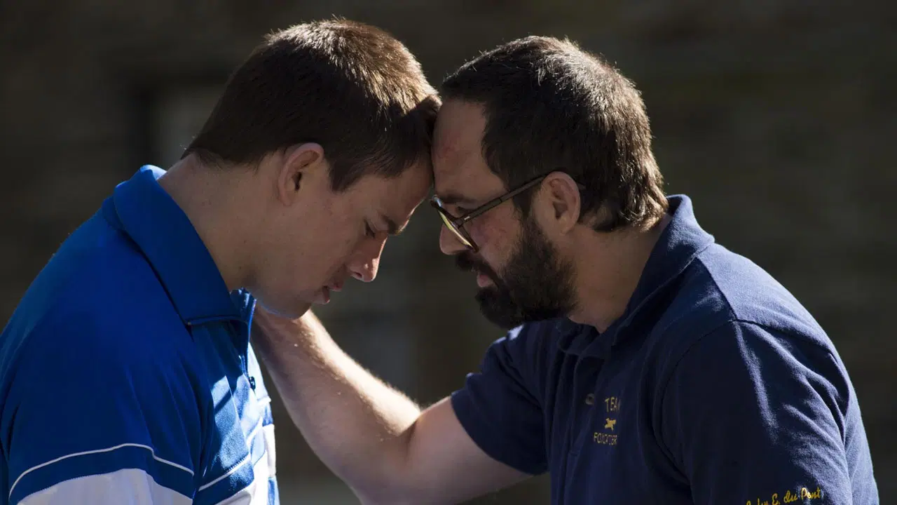 THE BEST MOVIES AT TIFF 2014